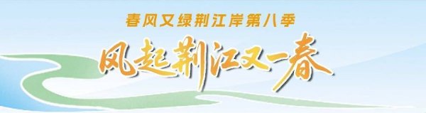 荆州，写给长江的绿色答卷！