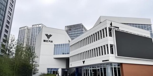 3年烧光183亿轰然崩盘，网红神车跌落神坛，新能源圈该好好反思了