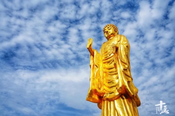 假期佛友圈刷屏：一个佛门义工的“自我修炼”