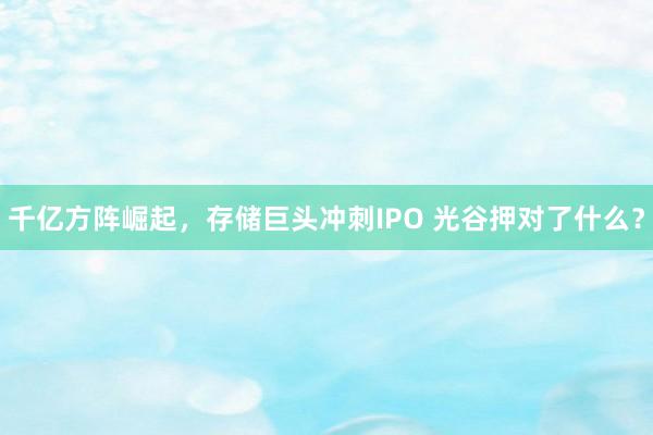 千亿方阵崛起，存储巨头冲刺IPO 光谷押对了什么？