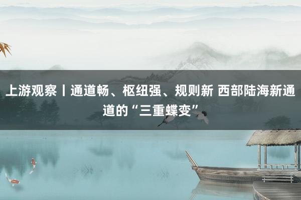 上游观察丨通道畅、枢纽强、规则新 西部陆海新通道的“三重蝶变”
