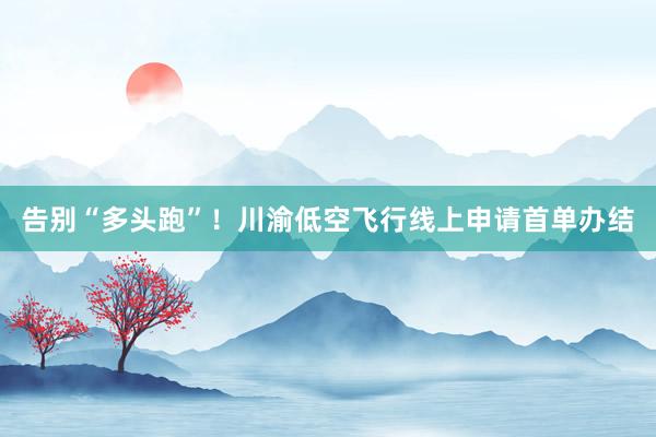告别“多头跑”！川渝低空飞行线上申请首单办结