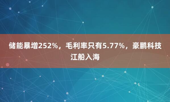 储能暴增252%，毛利率只有5.77%，豪鹏科技江船入海