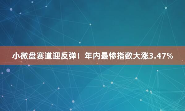 小微盘赛道迎反弹！年内最惨指数大涨3.47%