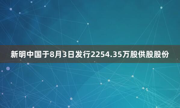 新明中国于8月3日发行2254.35万股供股股份