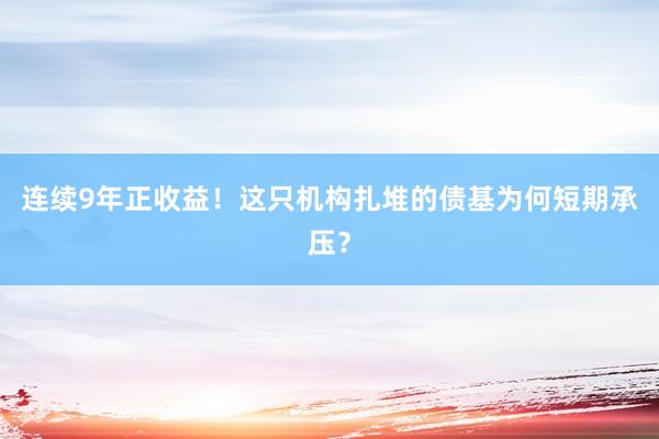 连续9年正收益！这只机构扎堆的债基为何短期承压？