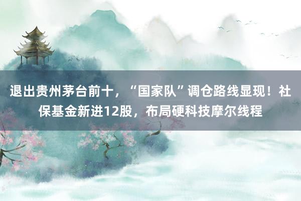 退出贵州茅台前十，“国家队”调仓路线显现！社保基金新进12股，布局硬科技摩尔线程
