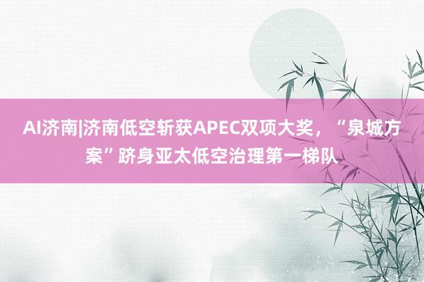 AI济南|济南低空斩获APEC双项大奖，“泉城方案”跻身亚太低空治理第一梯队