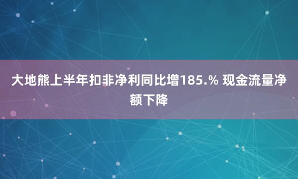 大地熊上半年扣非净利同比增185.% 现金流量净额下降