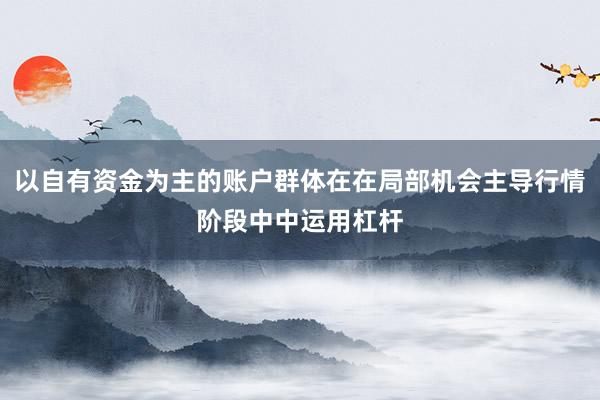 以自有资金为主的账户群体在在局部机会主导行情阶段中中运用杠杆