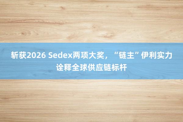 斩获2026 Sedex两项大奖，“链主”伊利实力诠释全球供应链标杆