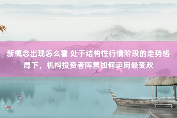新概念出现怎么看 处于结构性行情阶段的走势格局下，机构投资者阵营如何运用最受欢