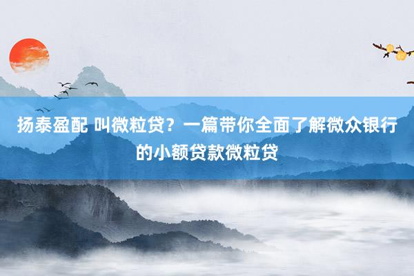 扬泰盈配 叫微粒贷？一篇带你全面了解微众银行的小额贷款微粒贷