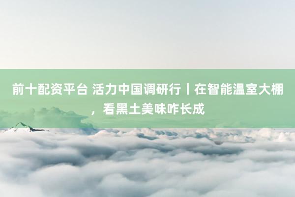 前十配资平台 活力中国调研行丨在智能温室大棚，看黑土美味咋长成