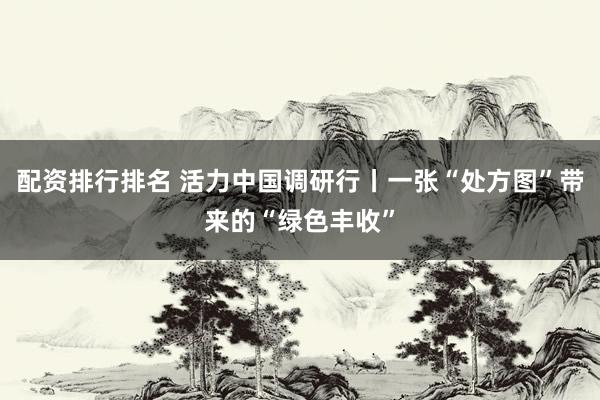 配资排行排名 活力中国调研行丨一张“处方图”带来的“绿色丰收”