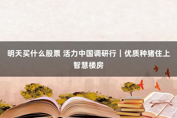 明天买什么股票 活力中国调研行｜优质种猪住上智慧楼房