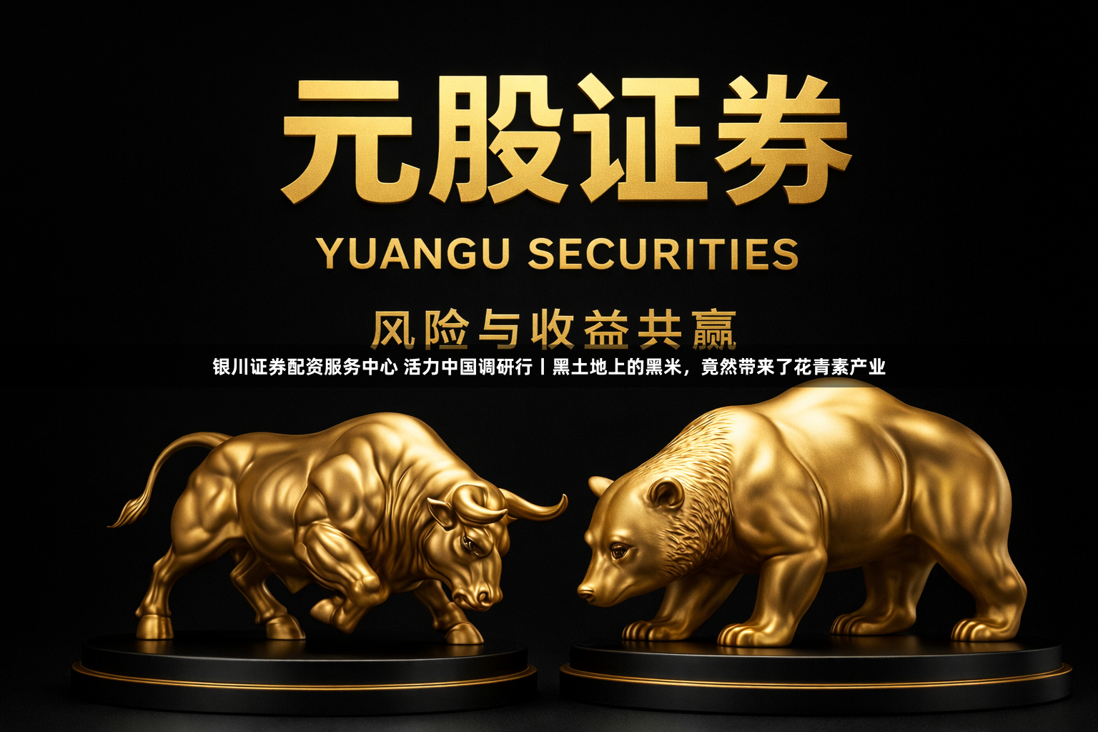银川证券配资服务中心 活力中国调研行丨黑土地上的黑米，竟然带来了花青素产业