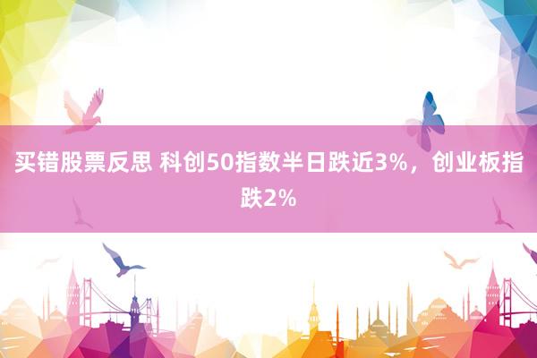 买错股票反思 科创50指数半日跌近3%，创业板指跌2%