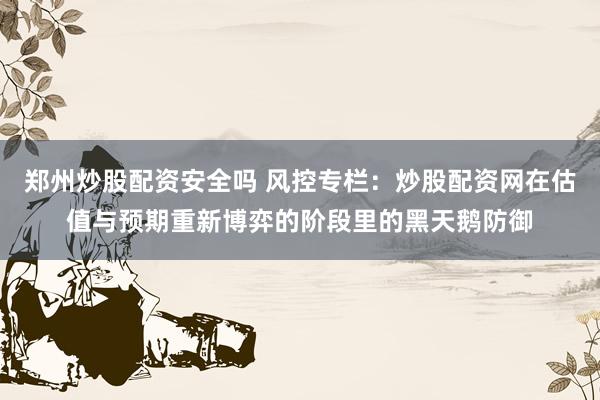 郑州炒股配资安全吗 风控专栏：炒股配资网在估值与预期重新博弈的阶段里的黑天鹅防御