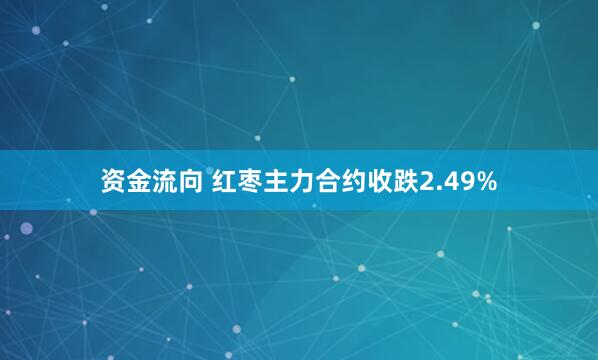 资金流向 红枣主力合约收跌2.49%