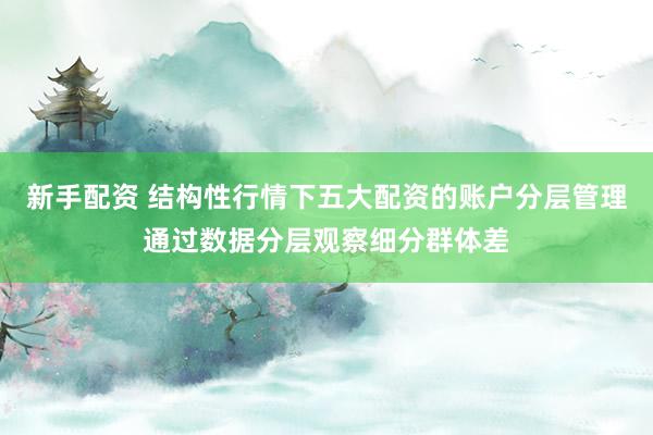 新手配资 结构性行情下五大配资的账户分层管理通过数据分层观察细分群体差