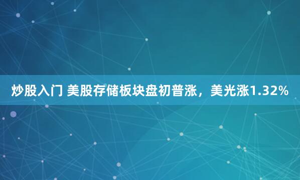 炒股入门 美股存储板块盘初普涨，美光涨1.32%