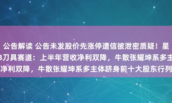 公告解读 公告未发股价先涨停遭信披泄密质疑！星帅尔豪掷8.4亿进军PCB刀具赛道：上半年营收净利双降，牛散张耀坤系多主体跻身前十大股东行列