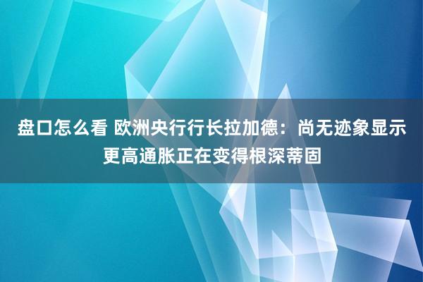 盘口怎么看 欧洲央行行长拉加德：尚无迹象显示更高通胀正在变得根深蒂固