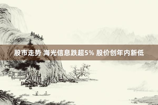 股市走势 海光信息跌超5% 股价创年内新低